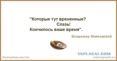 Про создателей Виталия Наливкина, и за что их хотят посадить