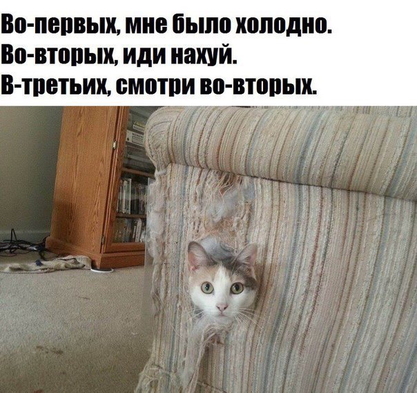 Чуток картинок 12.01.2022