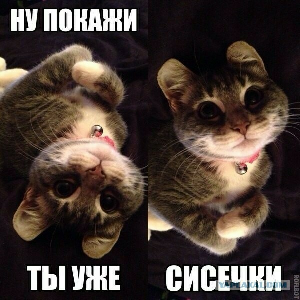 Утренний кофе