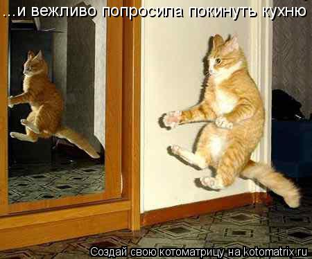 «Чё вам, бабам, надо?» Баба ответила...