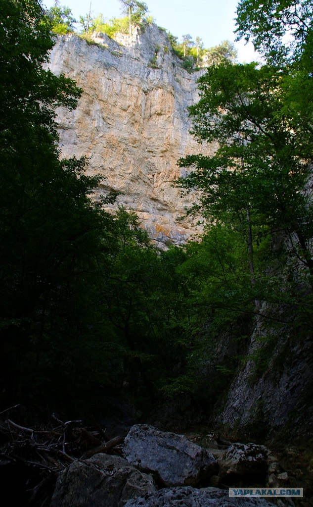 Прогулка по Крыму