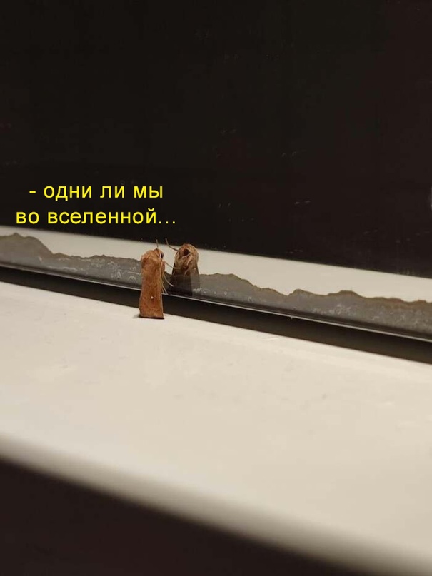 Картинки и мемы, всем хороших выходных