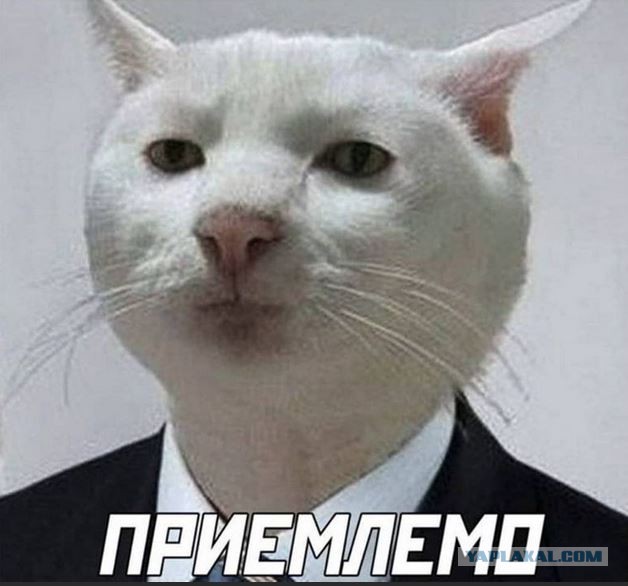 Почему люди живут в холодных регионах?