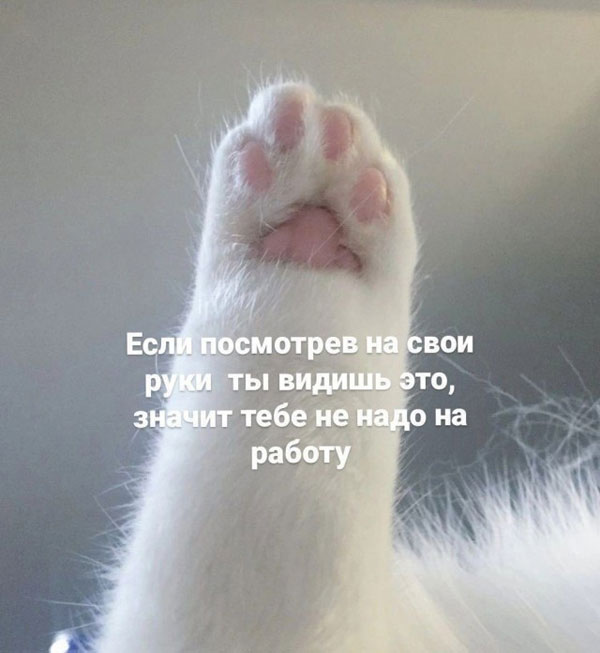 Первосубботние картинки