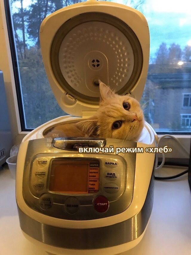 Так себе картинки 03.12.23
