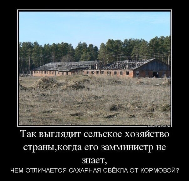 Росптицесоюз сомневается в возможности снижения цен на яйца