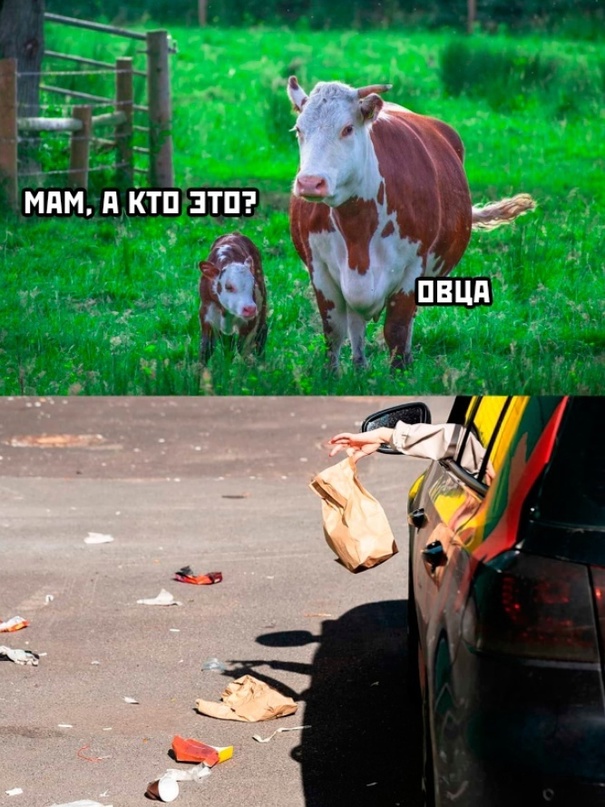 Весёлый полтишок 22.04.24