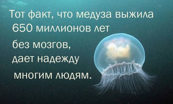Эксперт по этикету Басманова назвала плавки признаком принадлежности к ЛГБТ