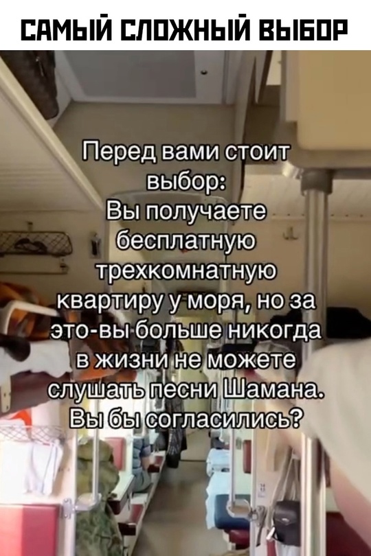Весёлый полтишок 19.09.24