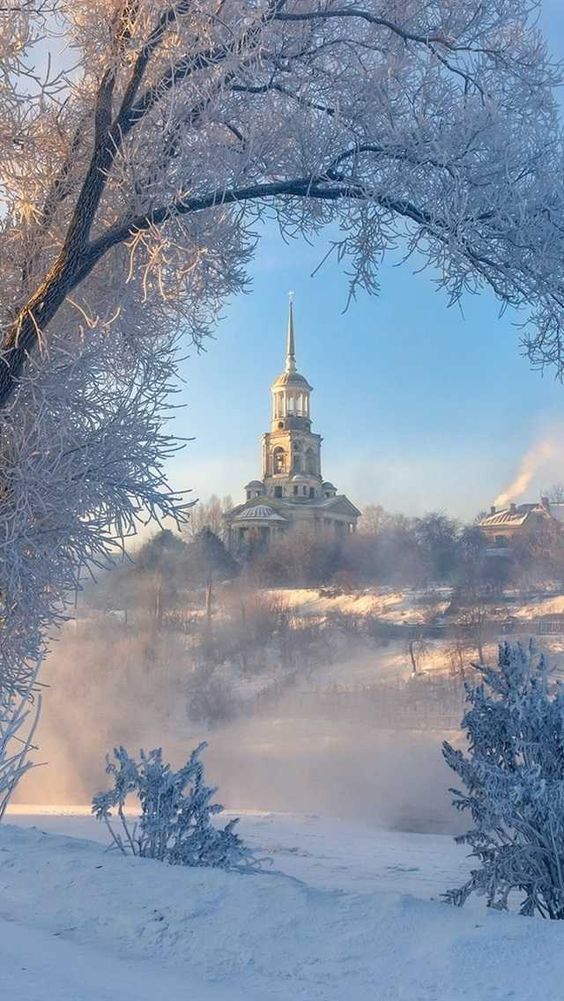 Прикольные и просто красивые картинки 21.02.2025