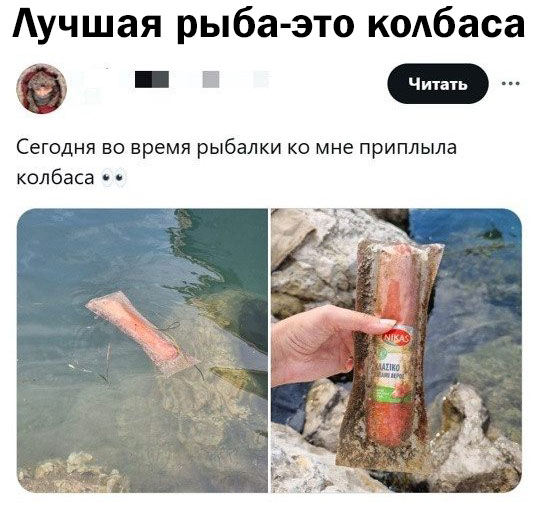 Картинки для деградации-6 (разной степени свежести)