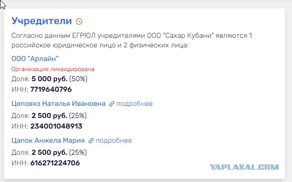 Момент, когда дочь криминального авторитета Сергея Цапка врезалась в жилой дом в поселке Николаевка под Таганрогом.