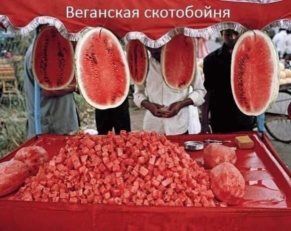 Люди, прогуливающие кладбище