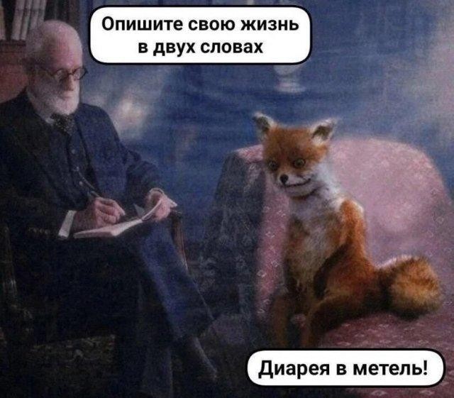 Веселое настроение в картинках 01.08.26