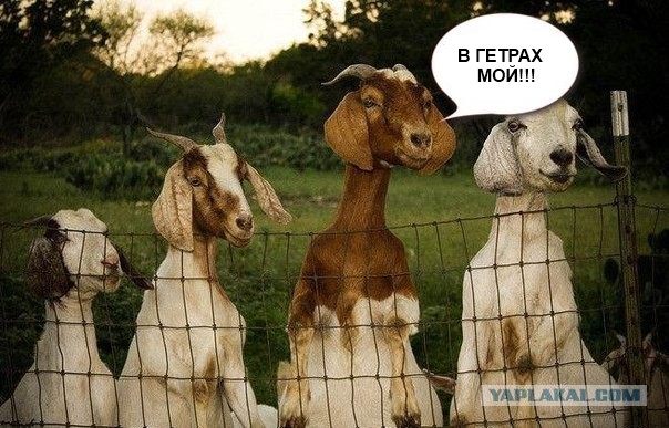 Новый виток моды - вместо красных мокасин?