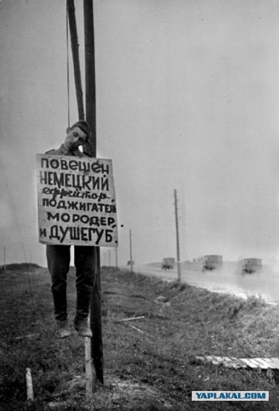 Толоконникову и Алехину в Мордовии все-таки облили