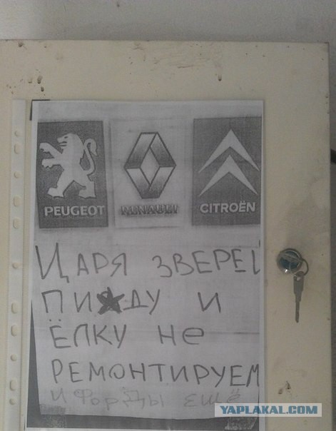 Подборка смешных картинок :)