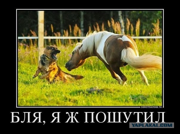 Хватит негатива на сегодня, пятница же!