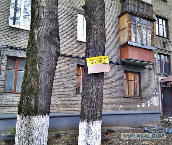 Смешные комментарии из социальных сетей 19.11.14