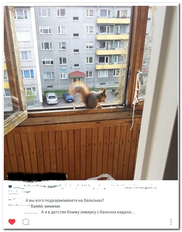 Смешные комментарии из социальных сетей