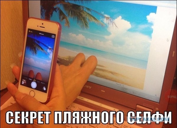 Смешные и не очень картинки