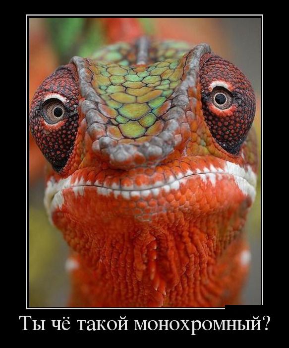 Крупный научный прорыв исламских ученых!, Земля неподвижна относительно солнца, Земля неподвижна относительно солнца