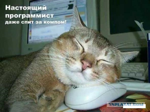 9 фактов, которые знают программисты