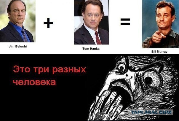 Билл Мюррэй - настоящий фотограф