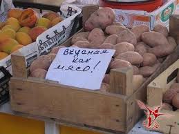 Дохохоталась