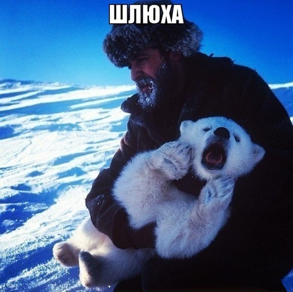 Что имеем, не храним, обосравшись - плачем.