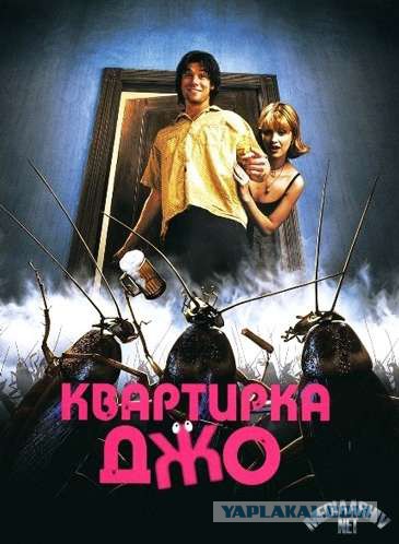 Вот такие таракашки живут в Выхинских подвалах