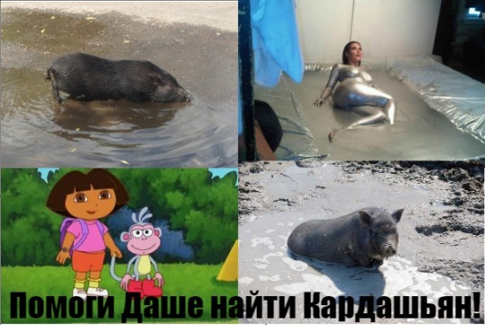 Картинки из сети