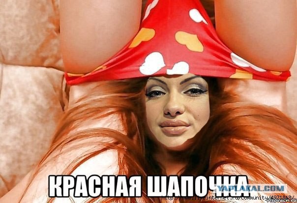 Трусы. Родные, любимые, недорогие