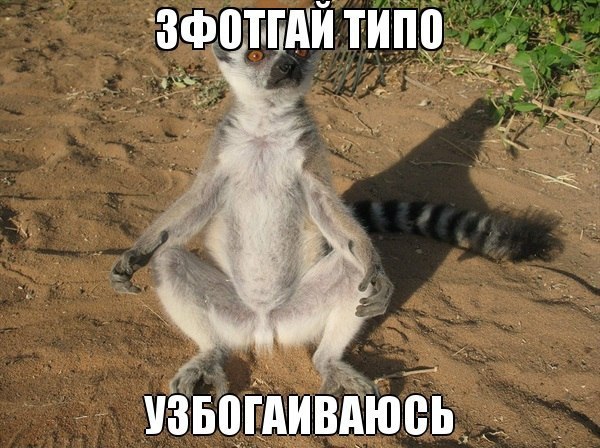 Картинки на пятницу
