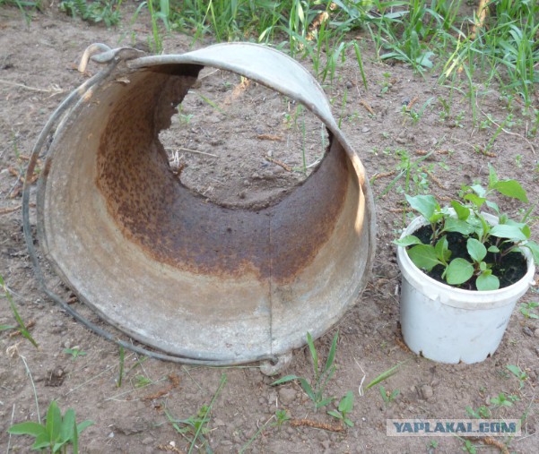 МВФ разрешил кредитовать должников при дефолте