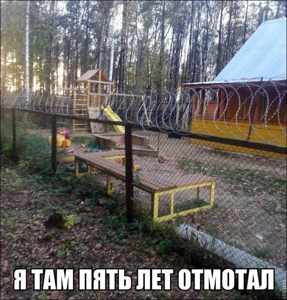 Картинки и демотиваторы