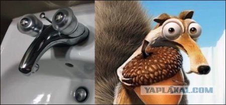Картинки из сети