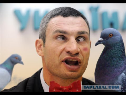 Сегодня ночью украинские силовики нанесли артудар по поселку Еленовка