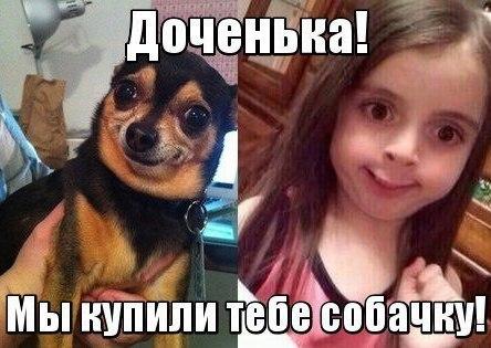 Забавные картинки из сети