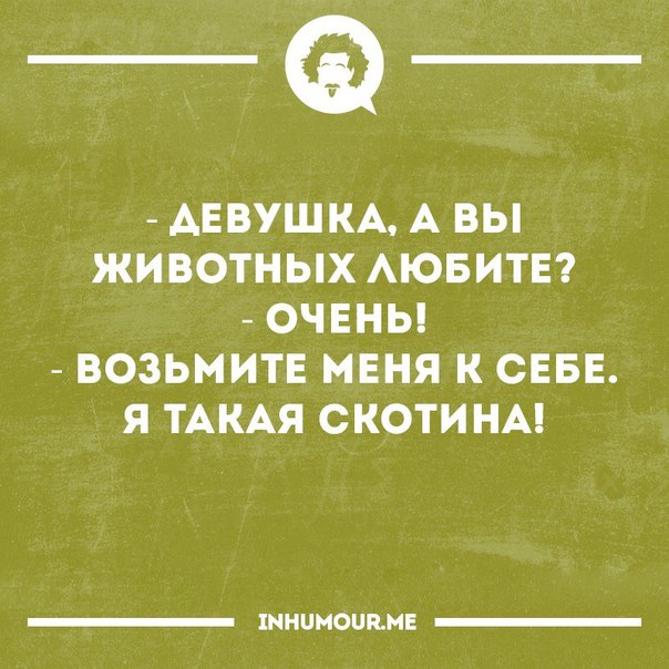 Интересные и веселые картинки