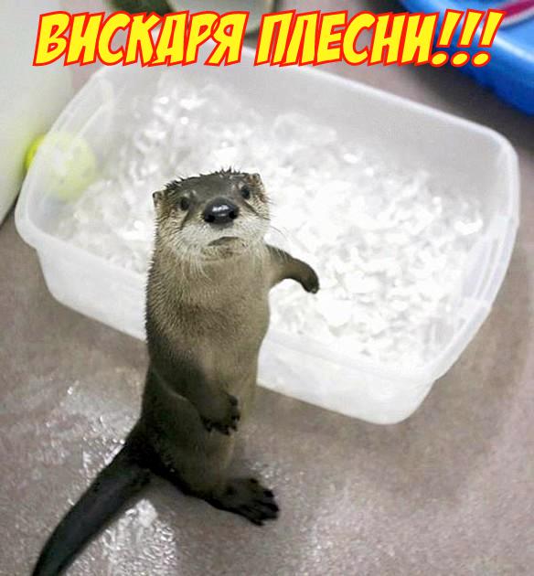 Подборка картинок