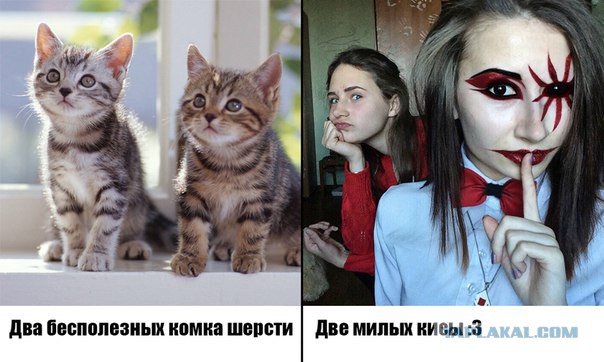Живодерки из Хабаровска