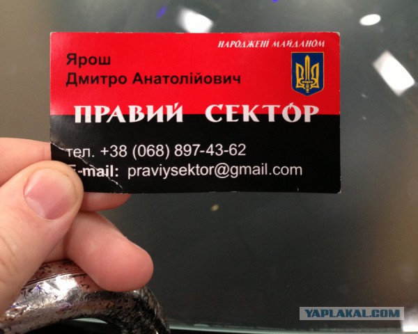 В Подмосковье задержали одного из организаторов теракта в Петербурге