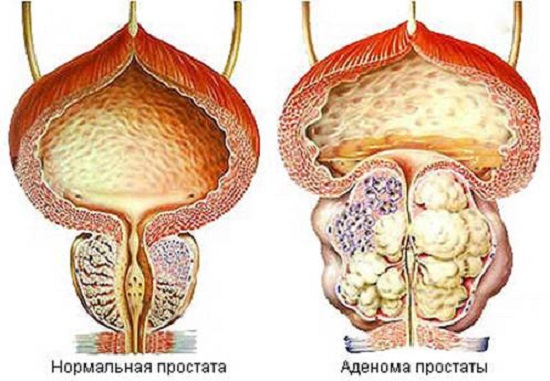Я не в курсе, что здесь происходит...