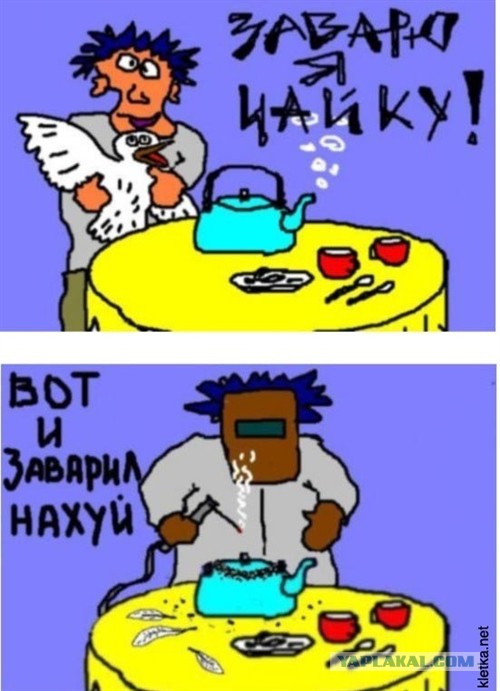 Чайка проглотила голубя
