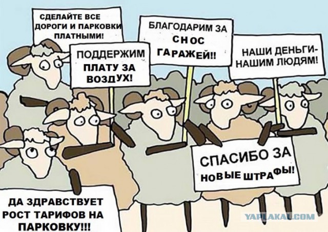 Кинолог про алабая, подаренного Путину: «Умеет собрать козлов в кучу»