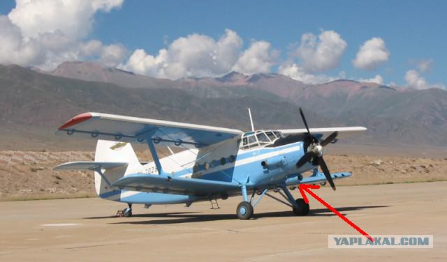 Ан-2: биплан, который умеет летать хвостом вперед