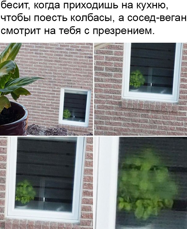 Нестандартный юмор