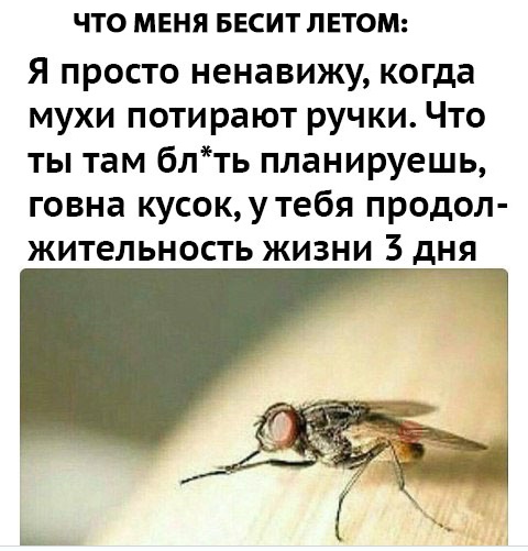 Нестандартный юмор