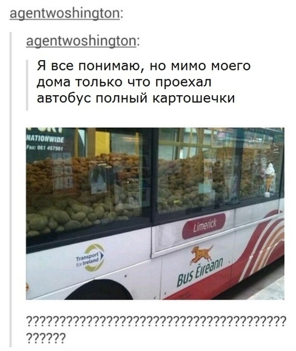 Прикольные картинки обо всем
